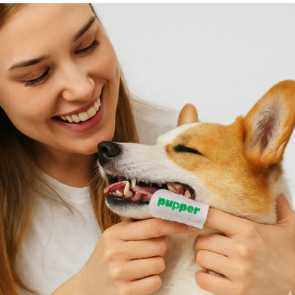 Teeth Cleaning Wipes for Dogs & Cats – Gentle Daily Dental Care